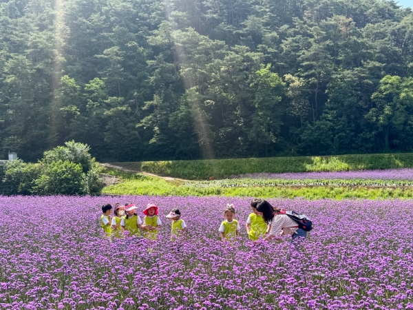�ܾ籺 ����� ����� ������ ������ ����� �����