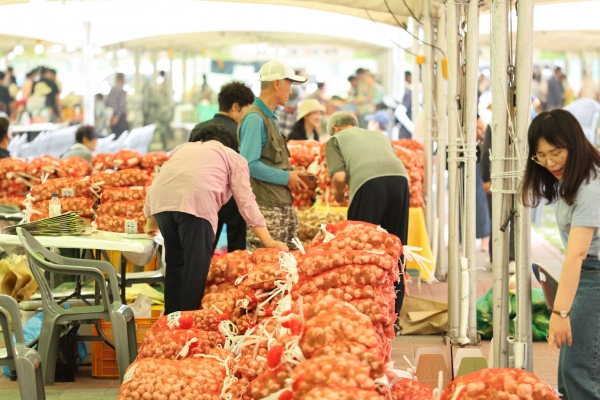 �ܾ縶�� ���� �ȹ� �븰�� Ȩ���� ���