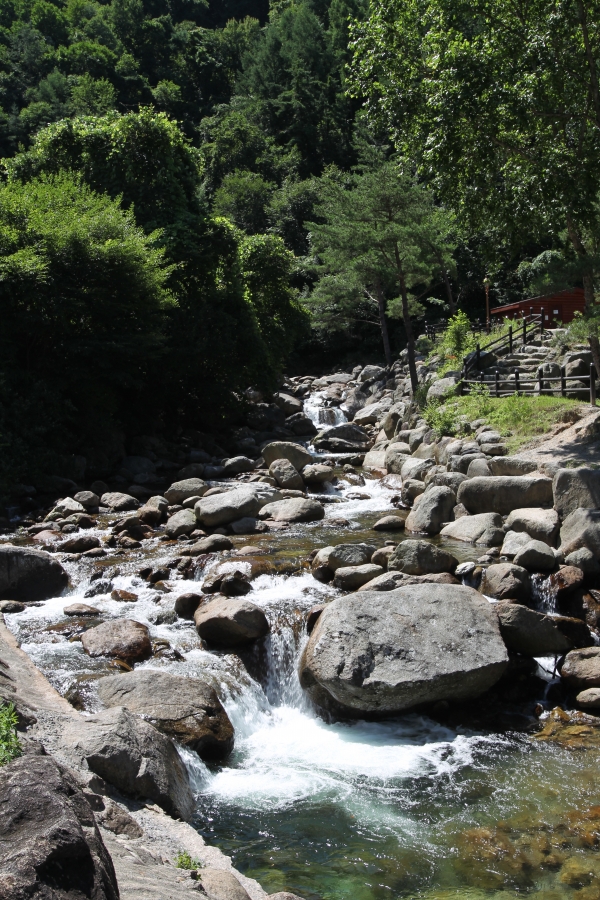 û�� �ܾ��� ������ Ż��