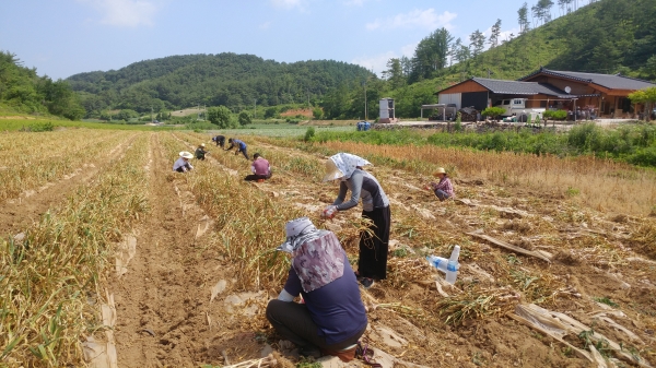 �ܾ籺 Ȳ�丶�� ���� ��Ȯ