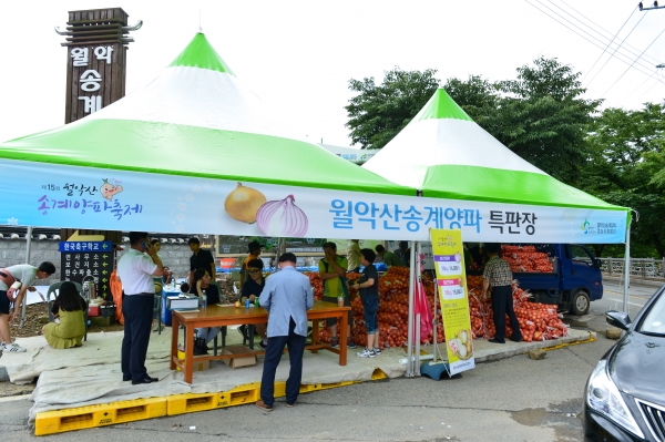 ��õ�� ���ǻ� �۰���� ���� ���� ����