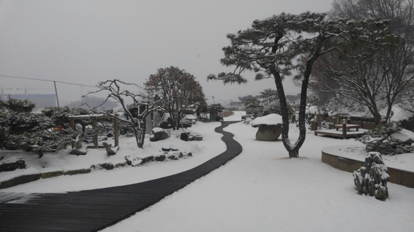 ��õ�� �ΰ����� ���