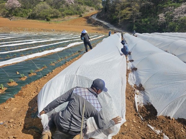 �ܾ籺 �������� ������� ���� Ȯ��