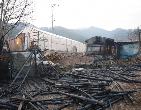 ��õ�� �ݼ��� ���๰ ȭ�� �߻�