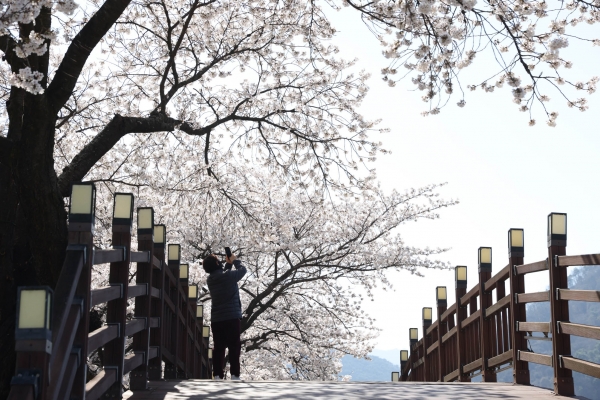 �ܾ簭 ���ɱ� �߰����� ����