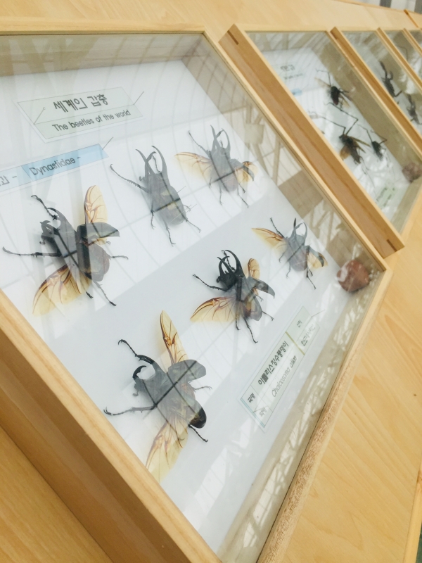 ��õ�ó��������� û���Ĺ��� �ùο��� �޽İ��� ����