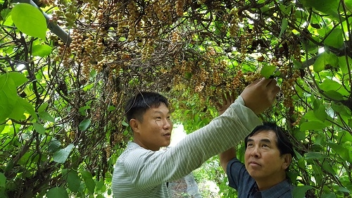 ��õ�ó��������� �űԳ���ΰ� ������ ����