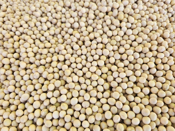 �ܾ��� ���� �ְ� ���� ǰ�� ����